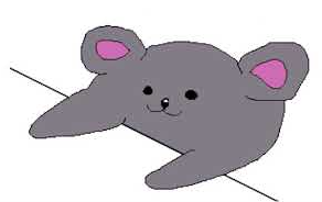 BongoKoalaPFP